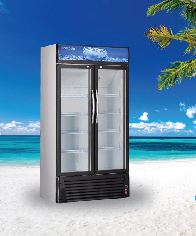 Showcase Chillers - Silverdome